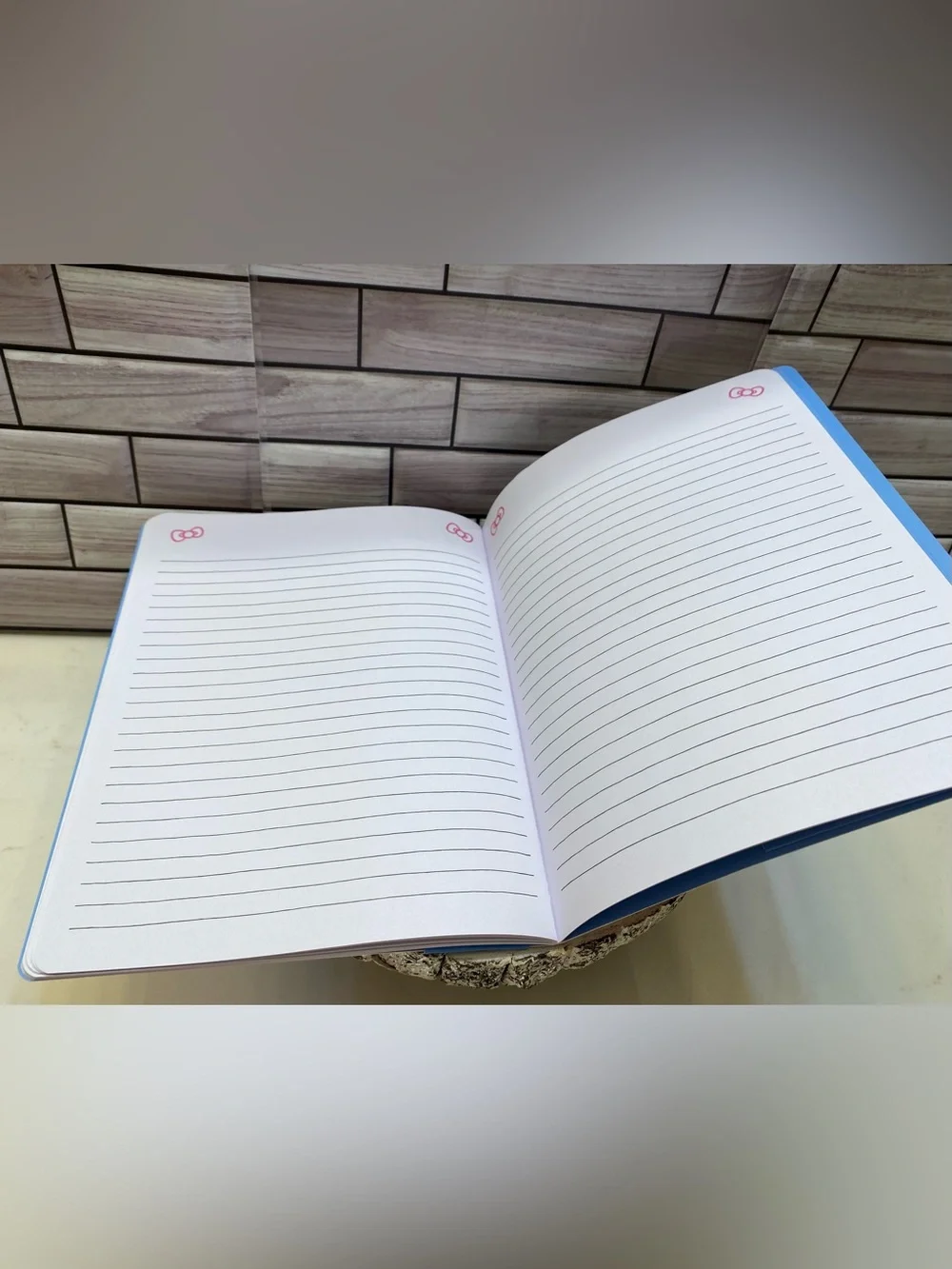 Hello Kitty ❤️ Monthly 17 months Planner Aug.2026 to Dec.2027 NEW Pink Gingham